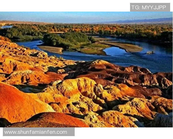 布莱克尼的魅力探寻：历史文化与自然风光的完美交融之旅