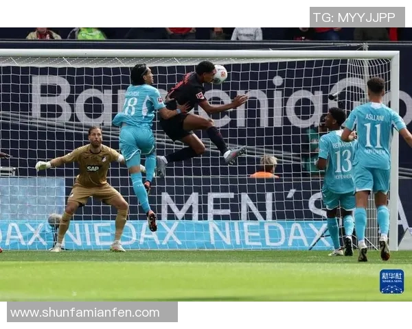 勒沃库森不敌霍芬海姆，遭遇主场失利