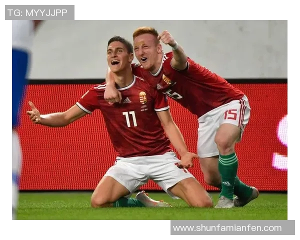 立陶宛迎战乌克兰欧洲杯激战即将上演球迷期待精彩对决