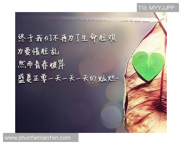 夏欢的盛夏时光与青春回忆交织的美丽篇章