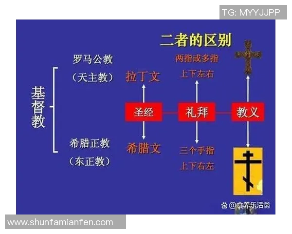 普R斯与拿加沙的对决：历史背景与未来走向的深度剖析